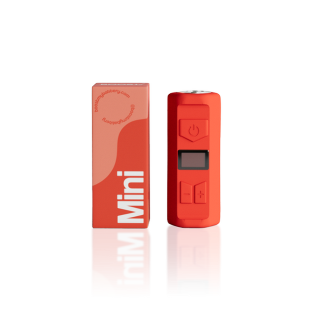 Boost Mini Battery Assorted Colors 1 Count