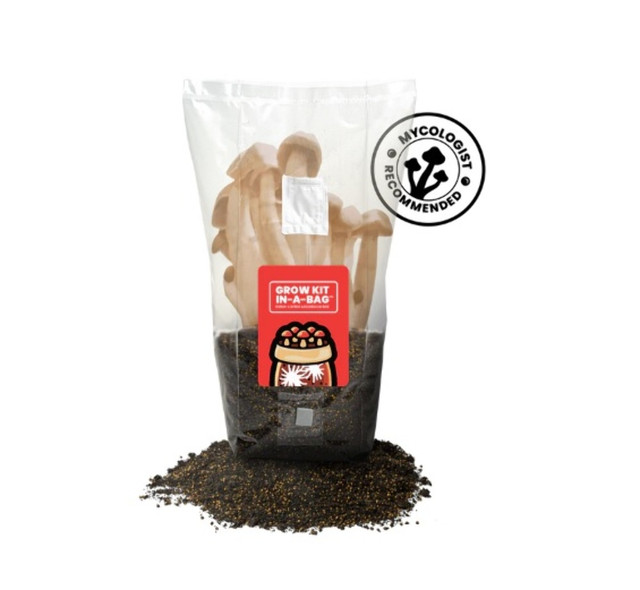 Mushroom GrowKit In-A-Bag 5 lbs